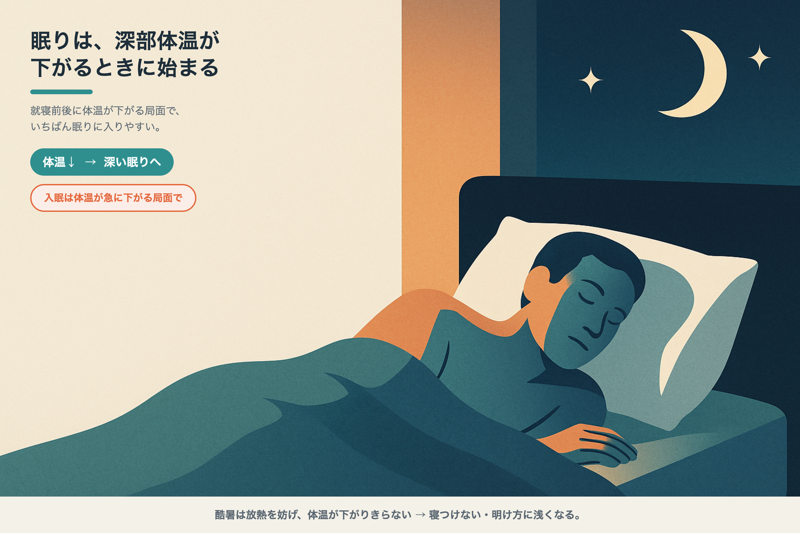 深部体温は夜に下がり、その局面で眠りに入る。酷暑は放熱を妨げて下がりきらない（模式図）