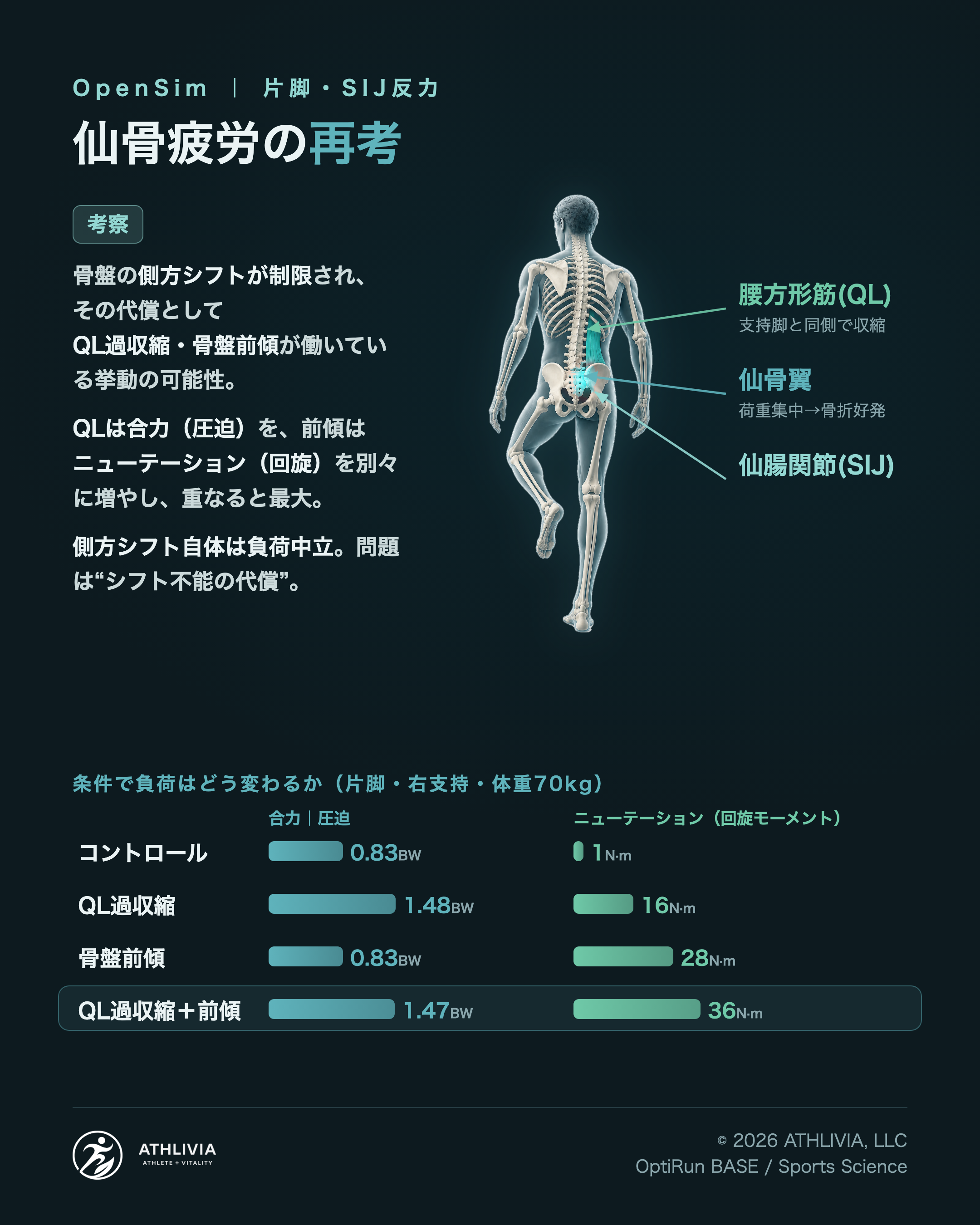 片脚立位の解剖と4条件比較