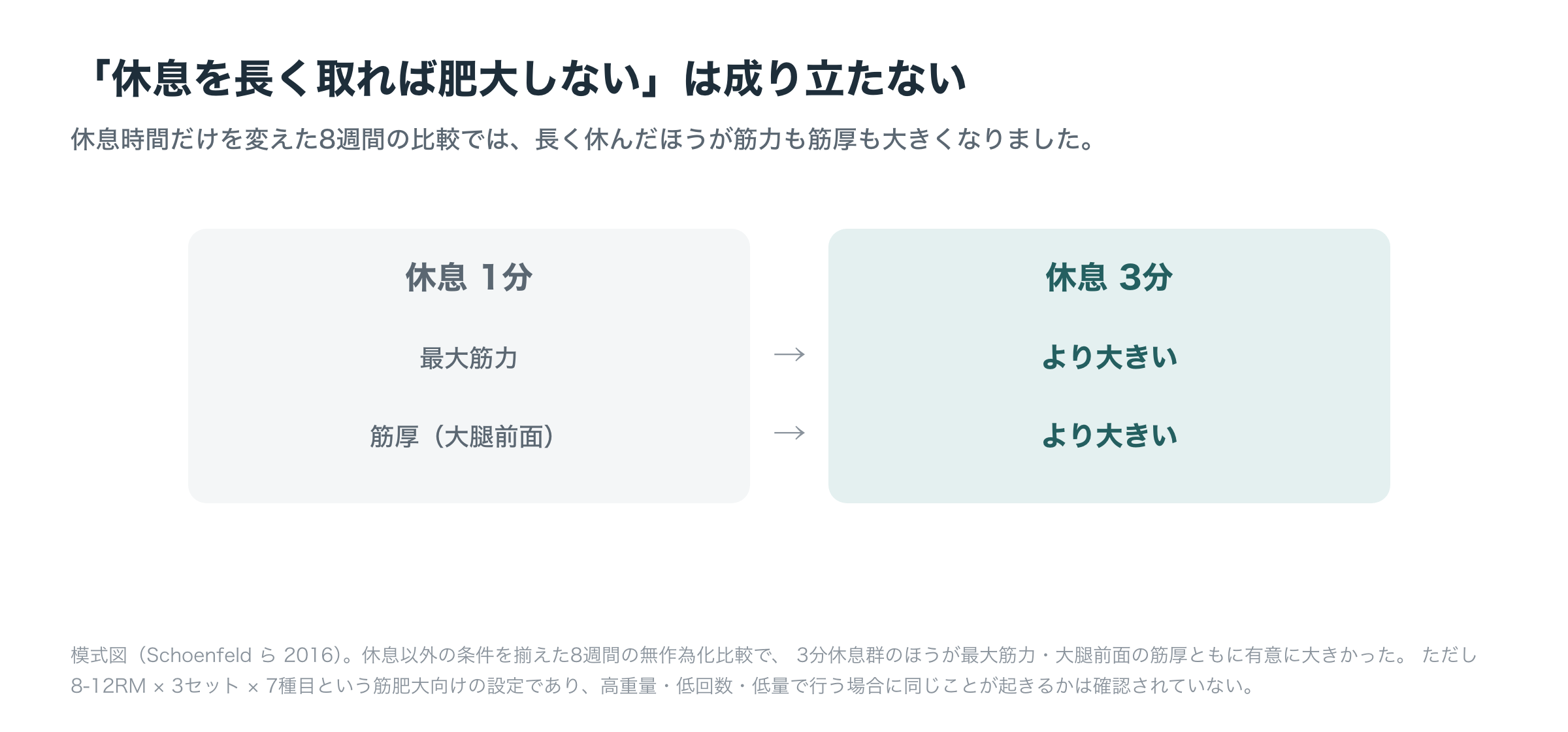 休息1分と3分を比べた8週間の無作為化比較。3分休息群のほうが最大筋力も大腿前面の筋厚も有意に大きかった