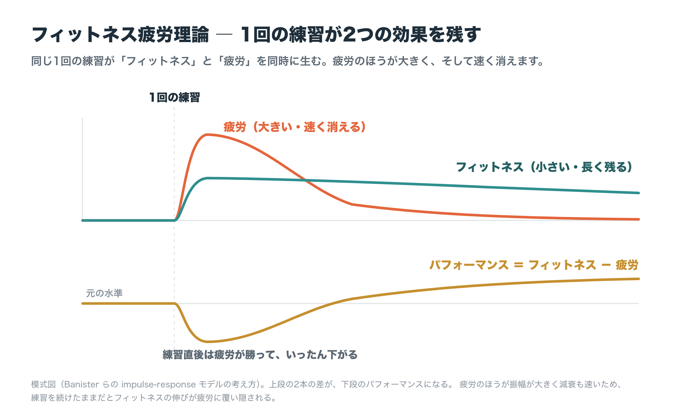 フィットネス疲労理論の模式図。1回の練習がフィットネス（小さい・長く残る）と疲労（大きい・速く消える）を同時に生み、その差がパフォーマンスになる