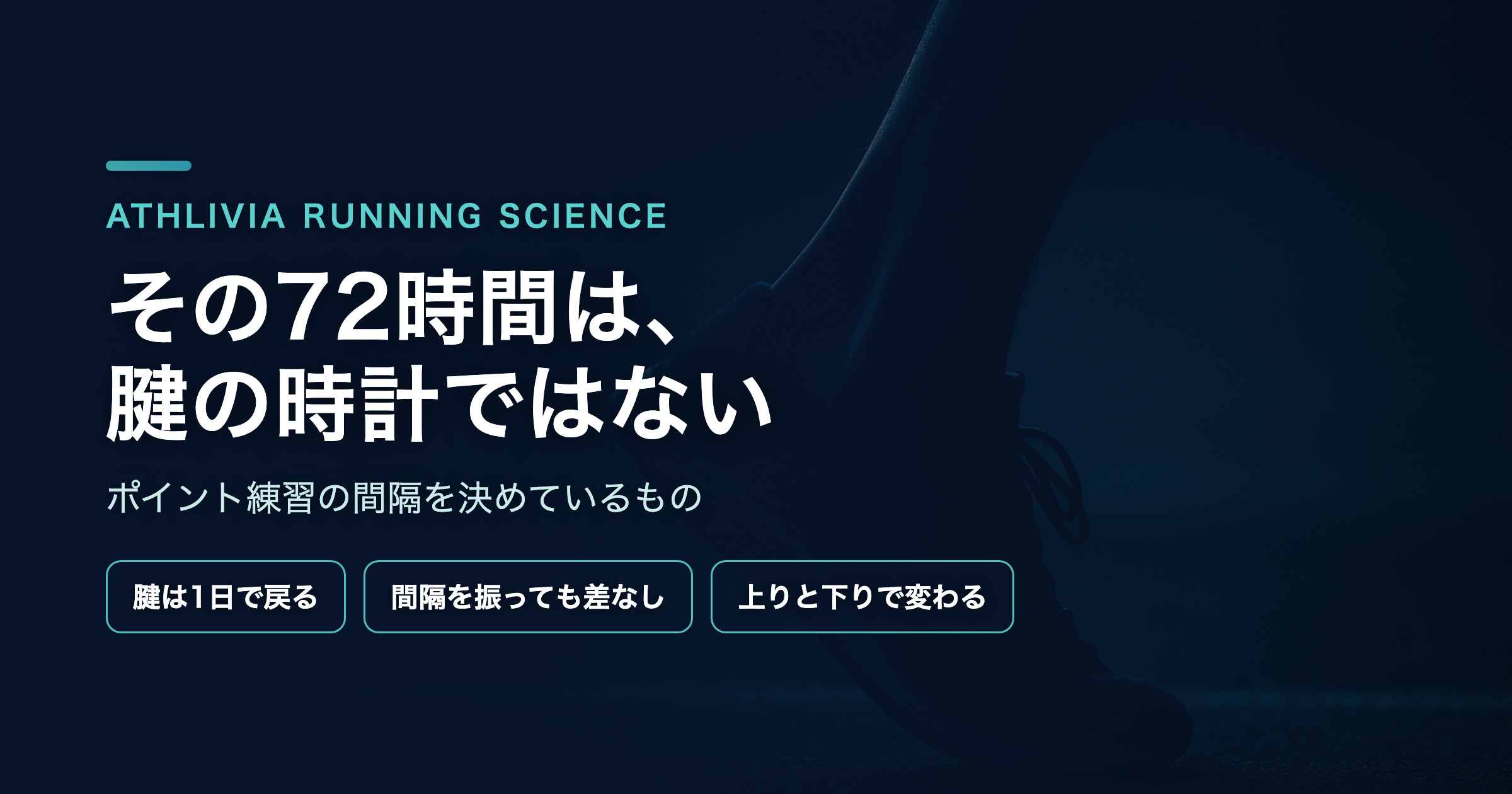 ポイント練習の間隔を決めているのは、腱ではない