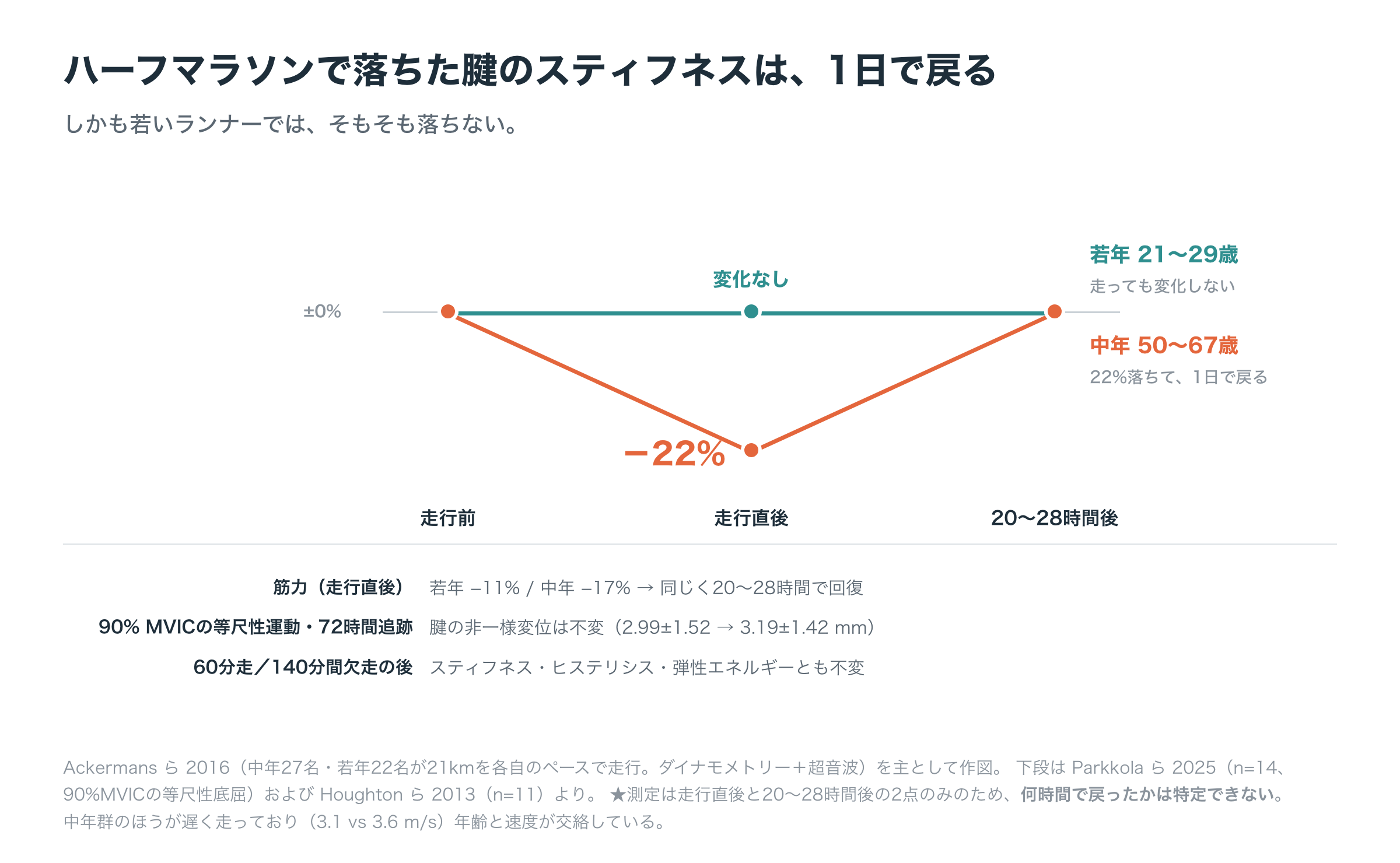 ハーフマラソン走行前後のアキレス腱スティフネスと筋力の変化を、若年群と中年群で比較した図。走行直後、若年は腱スティフネスが変化せず中年は22%低下。筋力は若年11%・中年17%低下。いずれも走行20から28時間後にベースラインまで回復した。あわせて、90%最大随意収縮の等尺性運動後72時間で腱の非一様変位が変化しなかったこと、60分走と140分間欠走の後もスティフネス・ヒステリシス・弾性エネルギーが変わらなかったことを注記（Ackermans 2016、Parkkola 2025、Houghton 2013による）