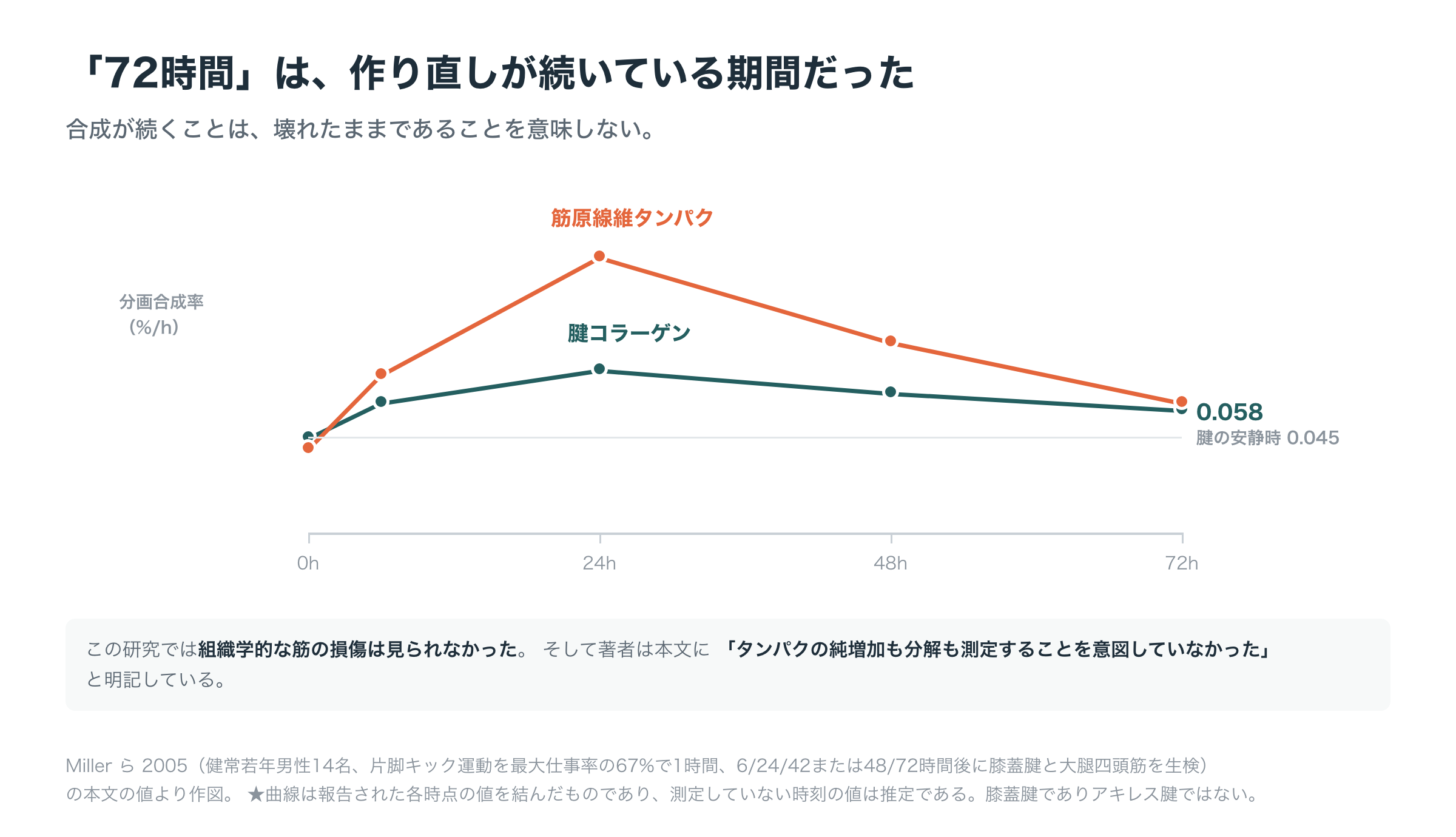 腱コラーゲンと筋原線維タンパクの分画合成率の時間経過を並べた曲線図。腱コラーゲンは安静時0.045%/hから24時間で0.077%/hのピークに達し、72時間でも0.058%/hと安静時を上回ったまま。筋原線維タンパクは安静時0.040%/hから24時間で約0.13%/h。合成が続くことは損傷が残ることを意味せず、この研究では組織学的な筋損傷が見られなかったこと、分解と純増加は測定されていないことを注記した図（Miller 2005による）